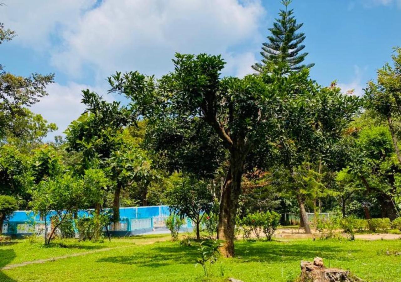The Green Heaven Resort Sigiriya Exterior foto